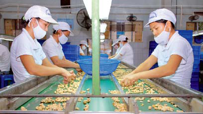 Buscan nuevos mercados para los productos agrícolas exportadores de Vietnam